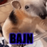 Bajn avatar